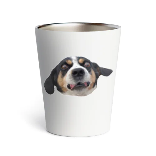 無駄吠えビーグル犬 Thermo Tumbler