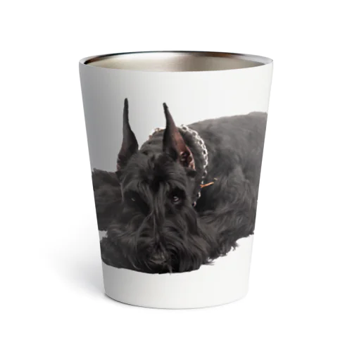 Giant Schnauzer Cherry Thermo Tumbler