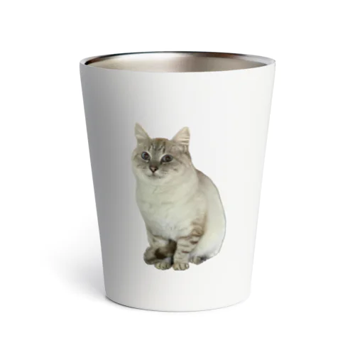 元野良猫しらたま Thermo Tumbler