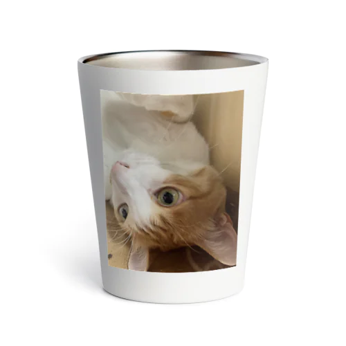 コロリンもも　ねこ Thermo Tumbler