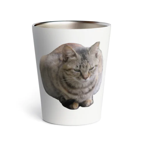 睨みを効かせた猫 Thermo Tumbler