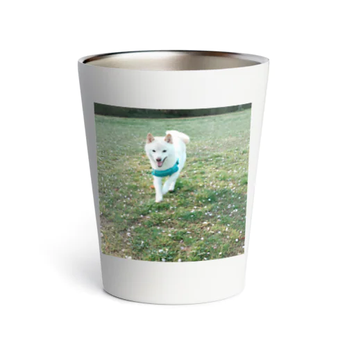 柴犬ラルフ Thermo Tumbler