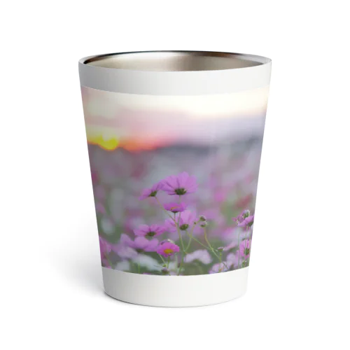 夕陽と秋桜 Thermo Tumbler