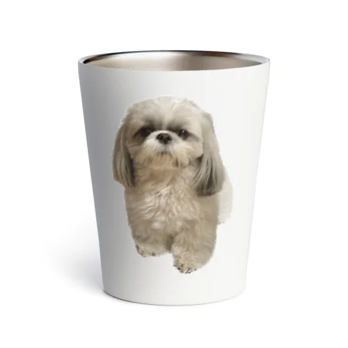 シーズー犬マリア きょとん Thermo Tumbler