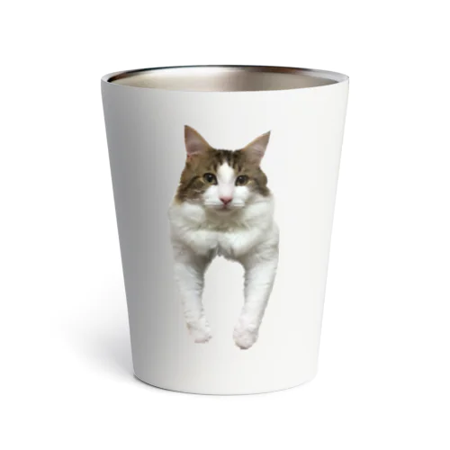 猫のダイヤ Thermo Tumbler