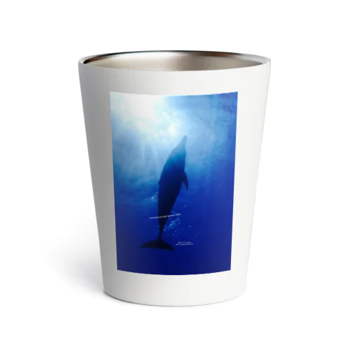 Dolphin＆Hikari Thermo Tumbler