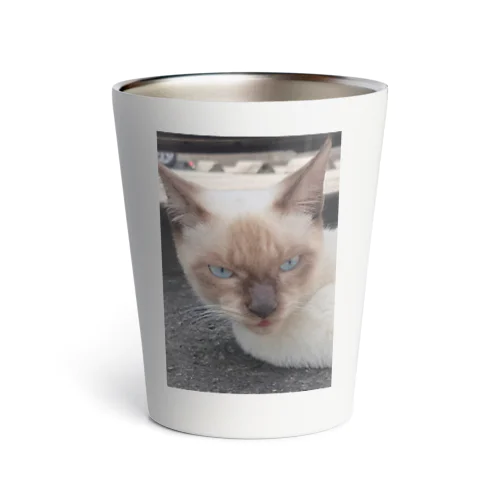 悪そうなのにカワイイ猫ちゃん Thermo Tumbler