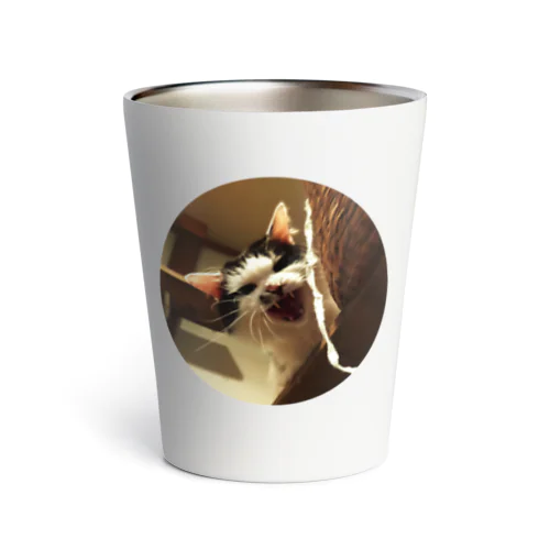 強面のねこ　チビゴン　その1 Thermo Tumbler