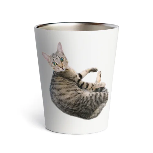 エマ　キジトラ　猫 Thermo Tumbler