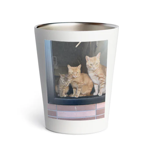 出窓で飼い主帰るを待つ猫たち Thermo Tumbler