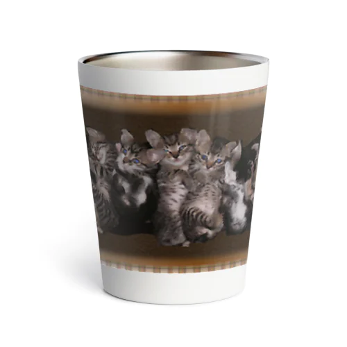 Tumblers for kittens　子猫たちのタンブラー サーモタンブラー