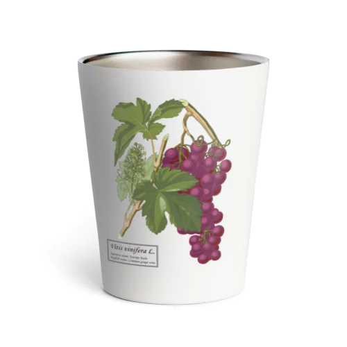 ヨーロッパブドウ（Vitis vinifera） Thermo Tumbler