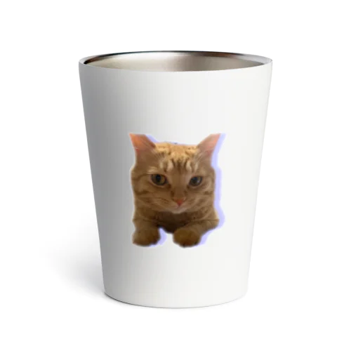 我が家の猫くんです。 Thermo Tumbler