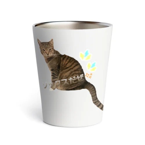 ソックス Thermo Tumbler