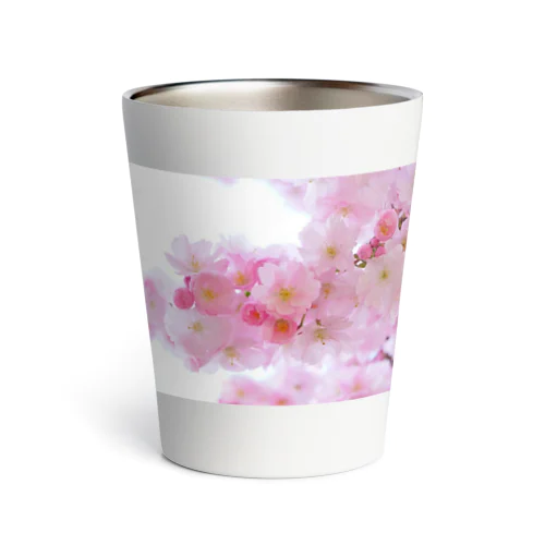 桜 Thermo Tumbler