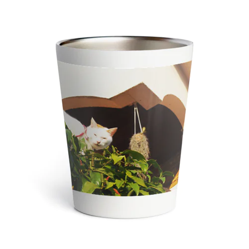 眩しい猫 Thermo Tumbler