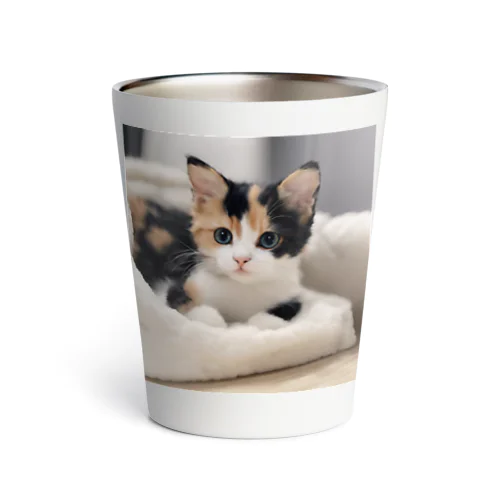 愛らしい子猫ちゃん Thermo Tumbler