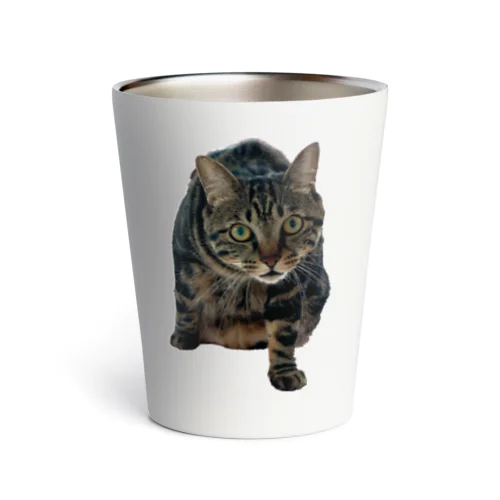 エンジンルーム猫のエンジン２ Thermo Tumbler