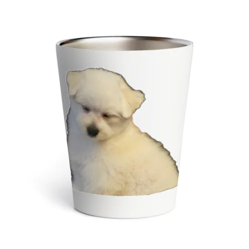 SLEEP DOG Thermo Tumbler