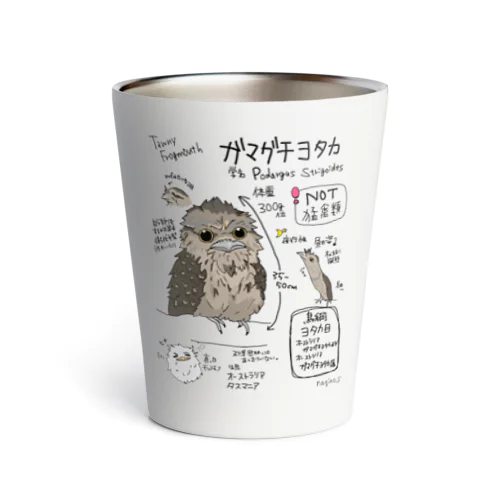 図鑑イラストシリーズ第5段『ガマグチヨタカ』 Thermo Tumbler