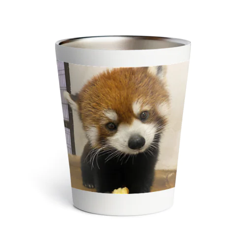 レッサーパンダ Thermo Tumbler