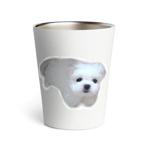 ミルクが家族になった日🐶 Thermo Tumbler