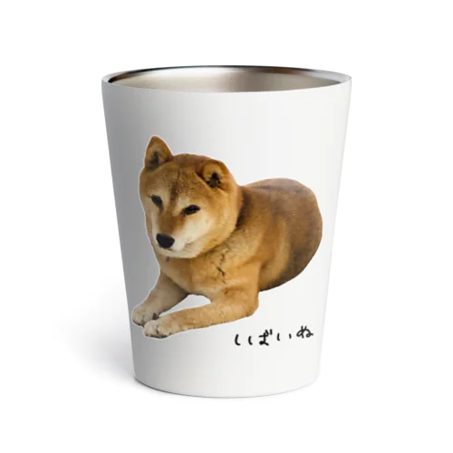 伏せ？してる柴犬さん Thermo Tumbler