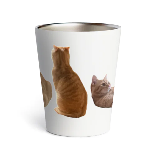 整列ねこ Thermo Tumbler