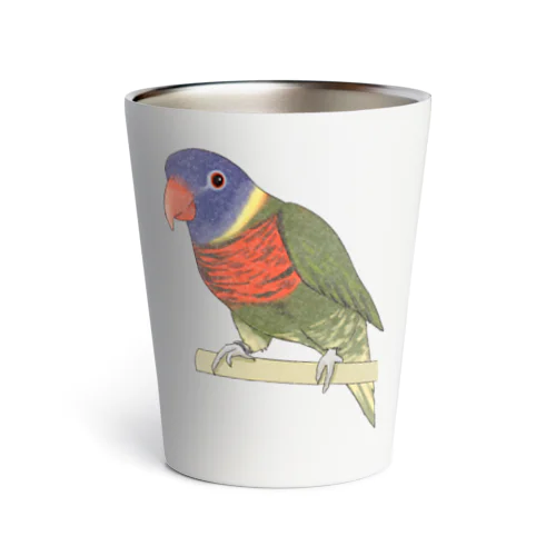 色合いが綺麗なゴシキセイガイインコちゃん【まめるりはことり】 Thermo Tumbler