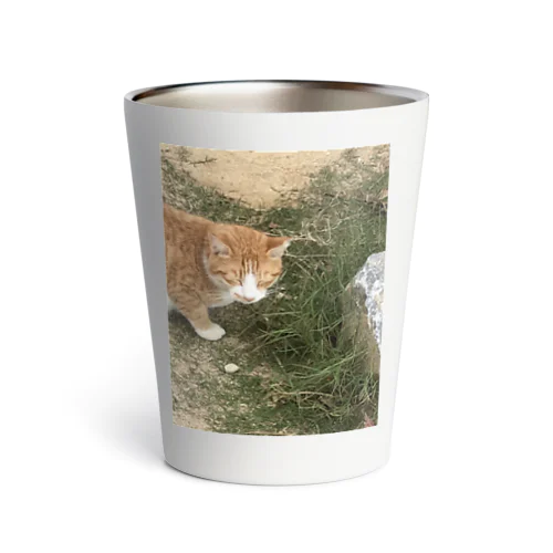 沖縄の野良猫 Thermo Tumbler