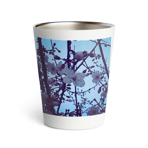 ひっそり咲く桜 Thermo Tumbler