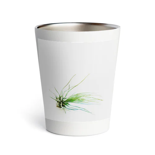 Tillandsia Thermo Tumbler