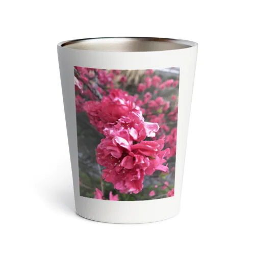 Autumn Blossom Thermo Tumbler