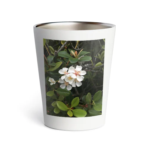 公園の花 Thermo Tumbler