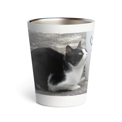 猫さんの見つめる先には… Thermo Tumbler