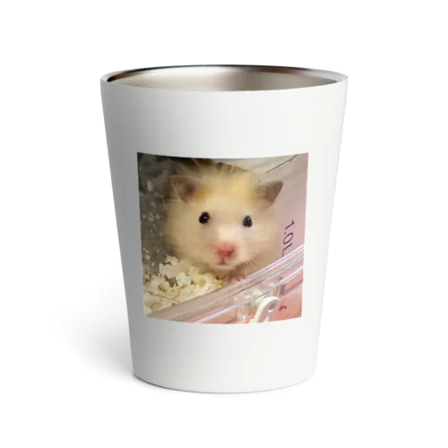 キンクマぷりんくん Thermo Tumbler