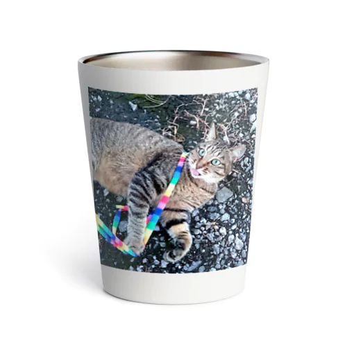 自由猫だったあずき Thermo Tumbler