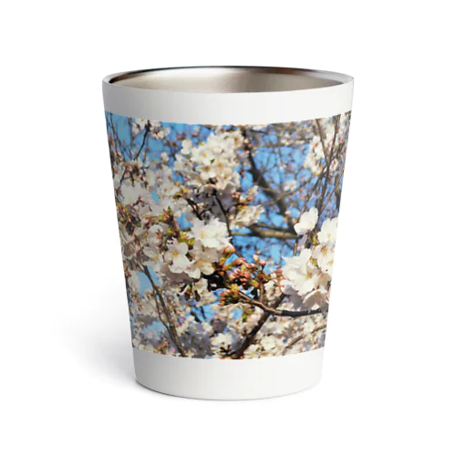 日本の春 桜B Thermo Tumbler