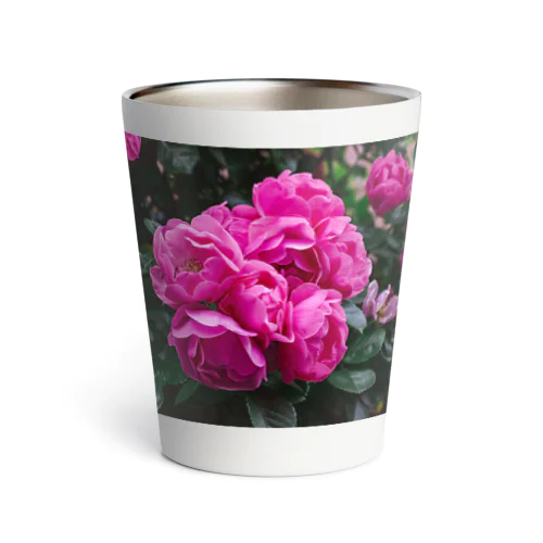 薔薇卍2 Thermo Tumbler