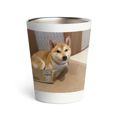 柴犬五郎 Thermo Tumbler