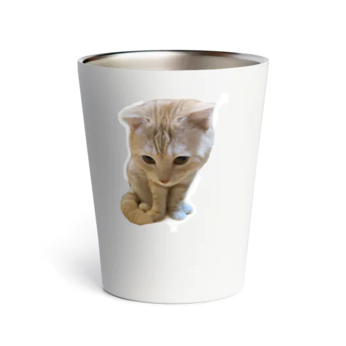 キャッツ Thermo Tumbler