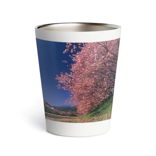 早咲きの桜 Thermo Tumbler