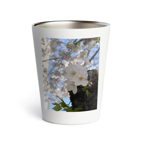 桜 Thermo Tumbler