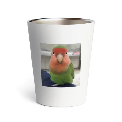 コザクラインコちゃん Thermo Tumbler