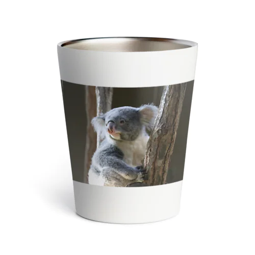 コアラ🐨 Thermo Tumbler