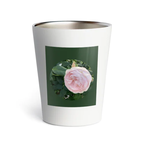 Rose Thermo Tumbler