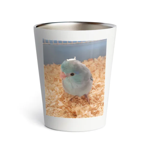 マメルリハのブルーちゃん🐦 Thermo Tumbler