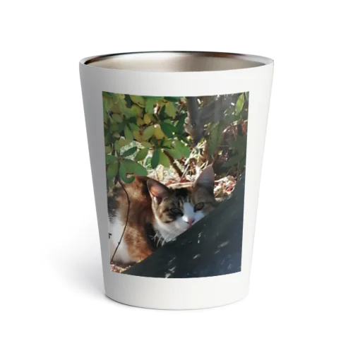 三毛猫グッズ Thermo Tumbler