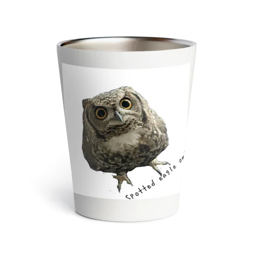 いお・りとチャンネル🦉ふくろう柄 Thermo Tumbler