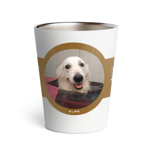 ゴールデン　ティアラ　×謎の白枠あり！！！ Thermo Tumbler